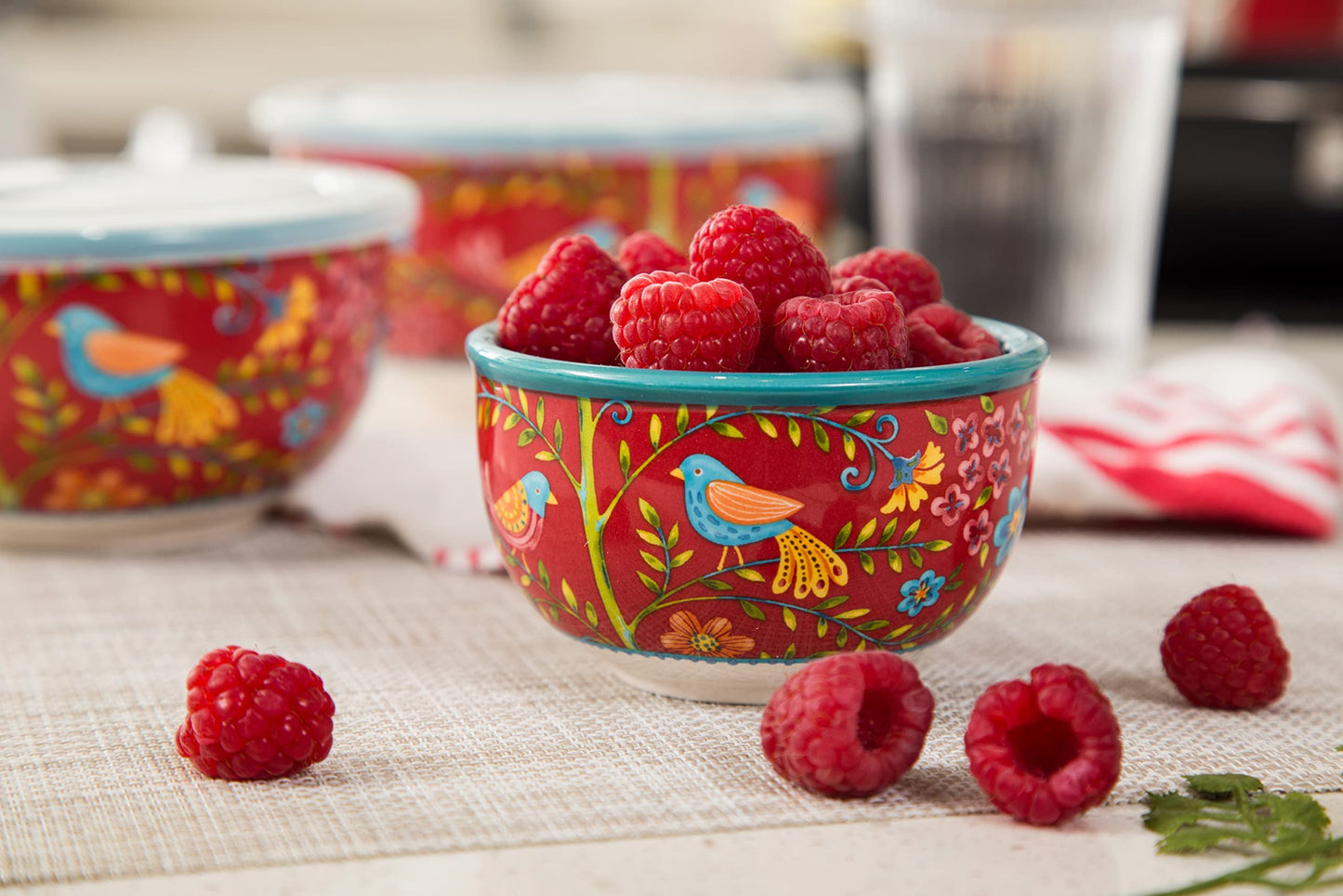 Bico Red Spring Bird Ceramic Bowl with Air Tight Lid Set of 3(27oz, 18oz, 9oz each), Prep bowls, Food Storage Bowl for Salad, Snacks, Fruits, Microwave and Dishwasher Safe